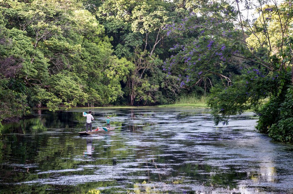 Ngare Sero Mountain Lodge Usa River エクステリア 写真