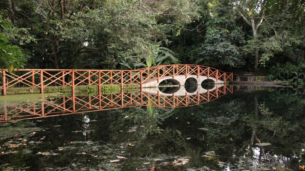 Ngare Sero Mountain Lodge Usa River エクステリア 写真