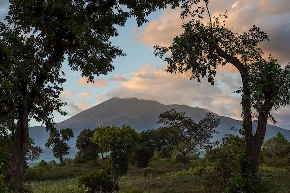 Ngare Sero Mountain Lodge Usa River エクステリア 写真